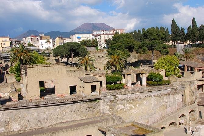 Pompeii & Herculaneum Day Trip From Naples With Lunch - Admission Fees and Costs