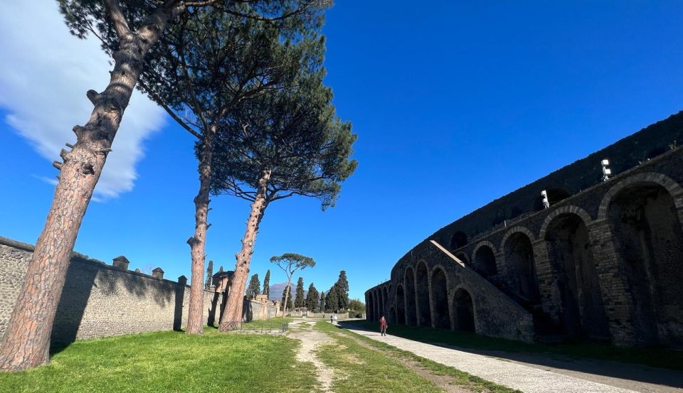 Pompeii Skip the Line Shared Group - Important Visitor Information