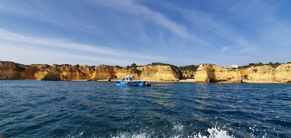 Ponta Da Piedade: Half-Day Cruise With Lunch From Lagos - Customer Reviews