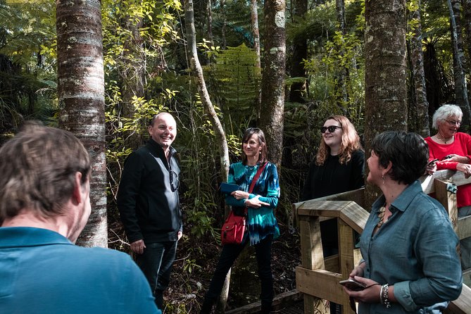 *Popular Cruise Ship Tour* Bay of Islands and Glow Worm Caves Shore Excursion - Best Time to Book