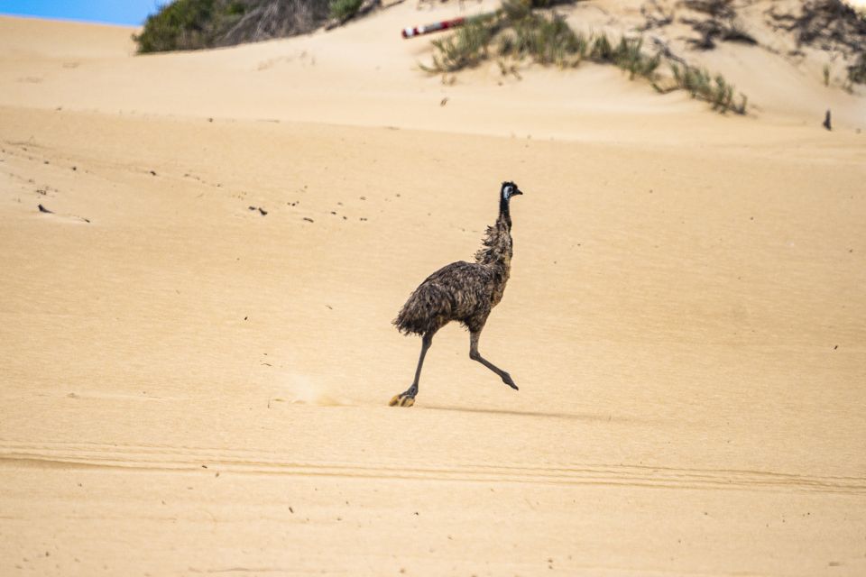 Port Lincoln: Wildlife and Sightseeing Full-Day 4WD Tour - Directions