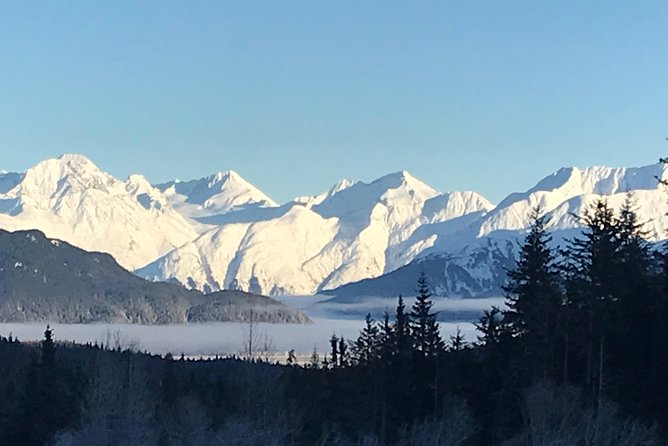 Portage Glacier Cruise and Wildlife Explorer Tour - Glacier Cruise Experience