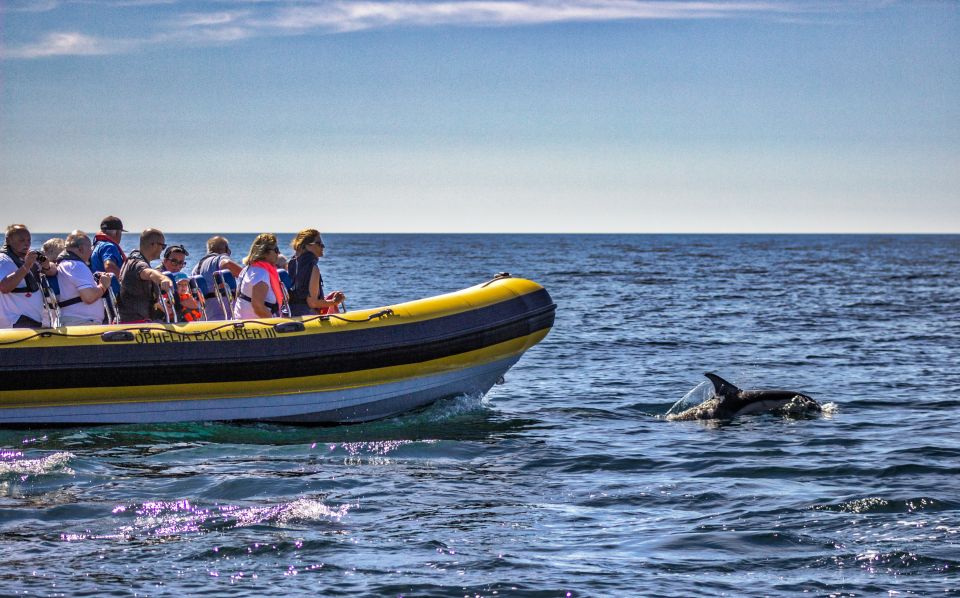 Portimão: 2-Hour Dolphin Watching Boat Tour - Exploring the Algarve Coast