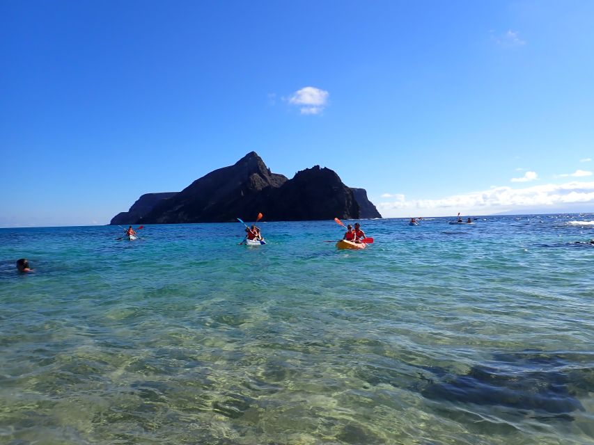 Porto Santo: Kayak Tour From Ponta Calheta - Traveler Testimonials