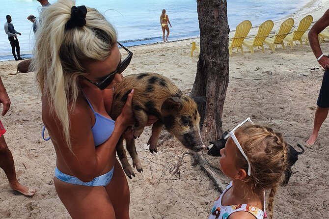 Powerboat and Snorkel Experience With Swimming Pigs and Turtles - Unique Wildlife Encounters