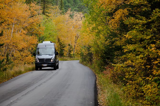 Premiere Private Black Hills Tour: Mt Rushmore, Crazy Horse & Custer State Park - Customer Testimonials