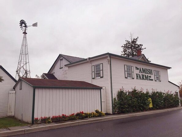 Premium Amish Country Tour Including Amish Farm and House - Visitor Reviews