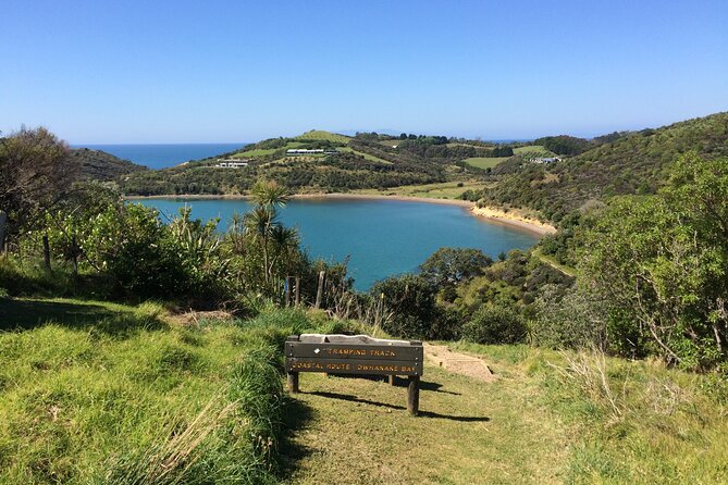 Premium Full Day Waiheke Wine Tour - Vineyard Visits and Tastings