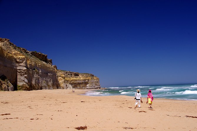 Premium Great Ocean Road Day Tour: Surf Coast Route 12 Apostles, Loch Ard Gorge - Photography Opportunities