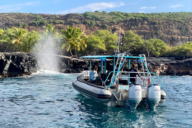 Premium Kona Coast Morning Snorkel - Pricing and Booking Information