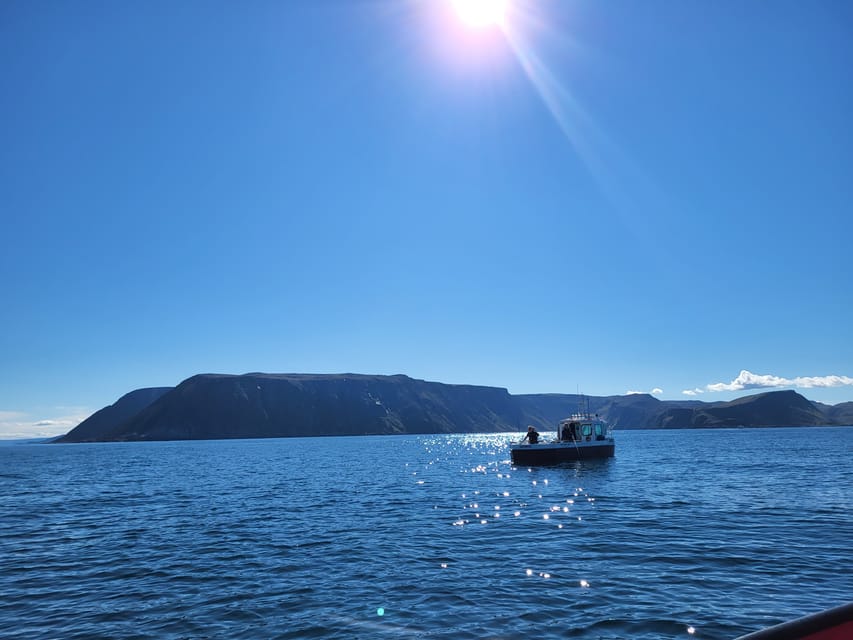 Privat Wildlife Kingcrab Safari Around the North Cape - Important Information