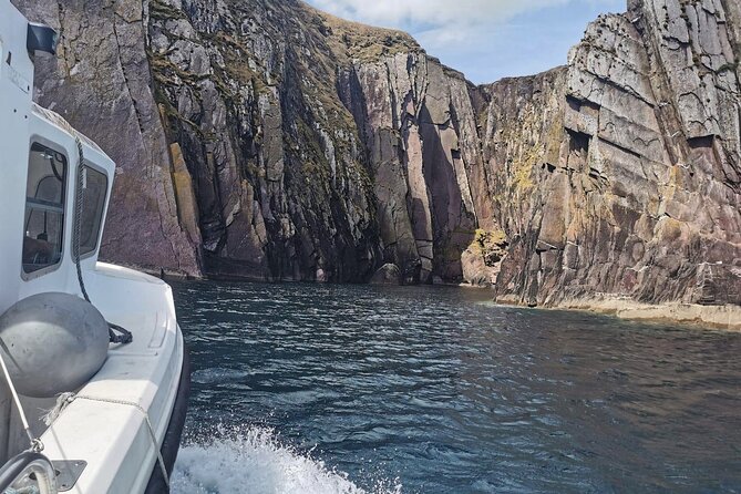 Private 1-Hour Guided Boat Tour in Dingle Peninsula - Accessibility Information
