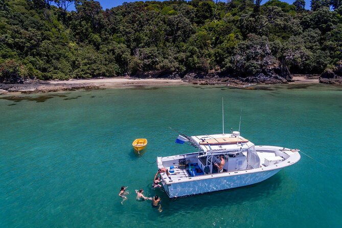 Private 5 Hour Fishing Charter Departing Tutukaka, Northland - 1 to 6 People - Booking Process