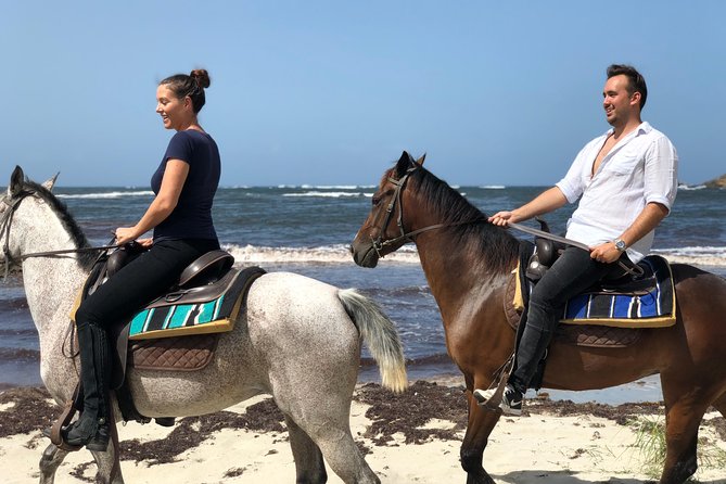 Private Advanced Horseback Beach Ride With Sandy Hoofs St. Lucia - Customer Reviews and Feedback