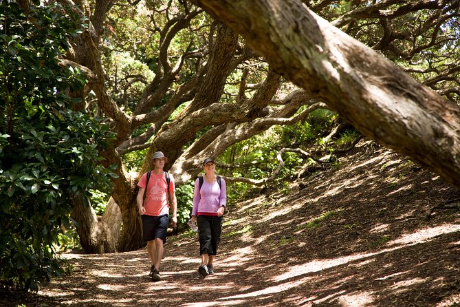 Private Auckland West Coast Day Tour - Booking Your Private Tour