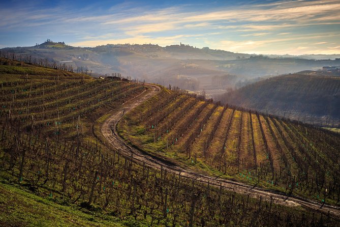 Private Barolo / Barbaresco - Piedmont Wine Tours and Tastings - Wine Tasting Experience