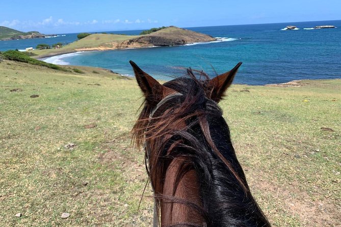 Private Beach Horseback Ride With Sandy Hoofs St. Lucia - Important Information to Note
