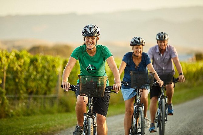 Private Biking Wine Tour (Full Day) in the Marlborough Region - Customer Reviews