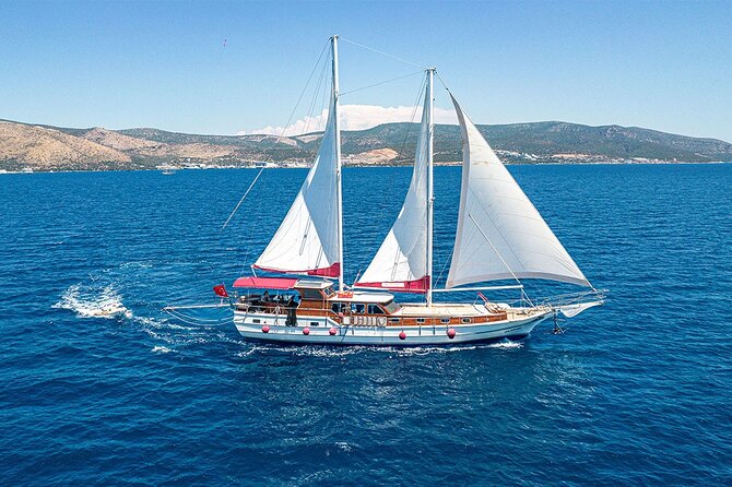 Private Boat Experience in Bodrum Coast With Snorkeling and Coves - Boat Capacity and Comfort