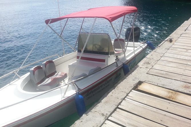 Private Boat to Soufriere/West Coast For Swimming Snorkeling & Beach Relaxation - Health and Safety Considerations