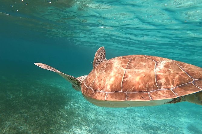 Private Boating Adventure for Snorkeling or Fishing in Nassau - 55FT Boat - Customer Reviews and Ratings