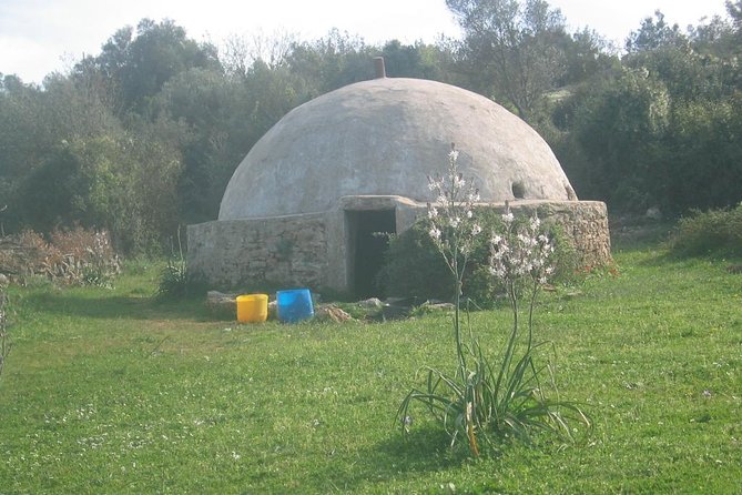 Private Bodrum Village Tour + 1 Glass Free Local Wine - Traveler Reviews and Experiences