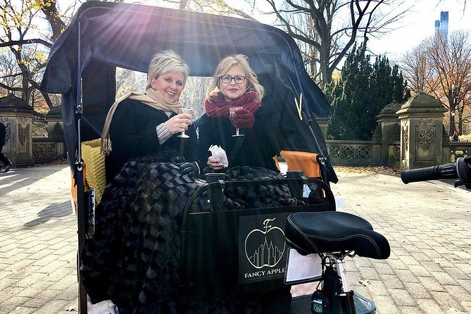 Private Central Park Guided Tour by Pedicab - Accessibility Features