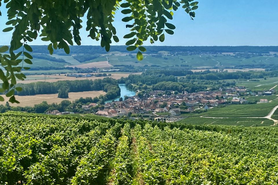 Private Champagne Moët & Chandon Chateau Boursault Pressoria - Inclusions and Exclusions