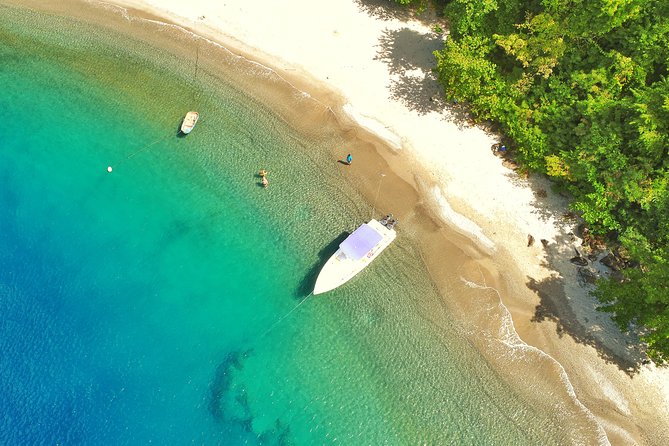 Private Custom Coastal Cruise St. Lucia Half Day - Guest Reviews and Feedback