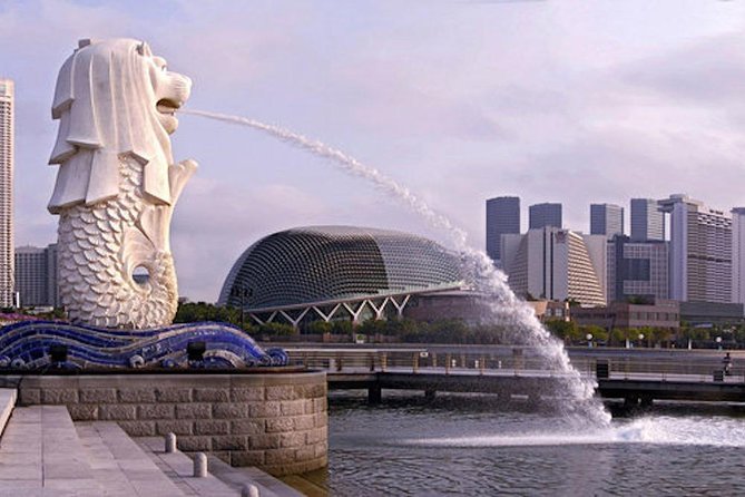 Private Customised Singapore Airport Layover Tour By Car - Tips for a Great Experience