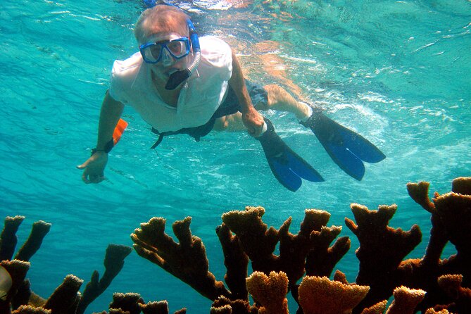 Private Customized South Island Tour and Snorkel Combo - Pricing Details and Offers
