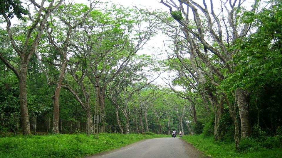 Private Day Tour: Cuc Phuong National Park From Hanoi - Customer Feedback