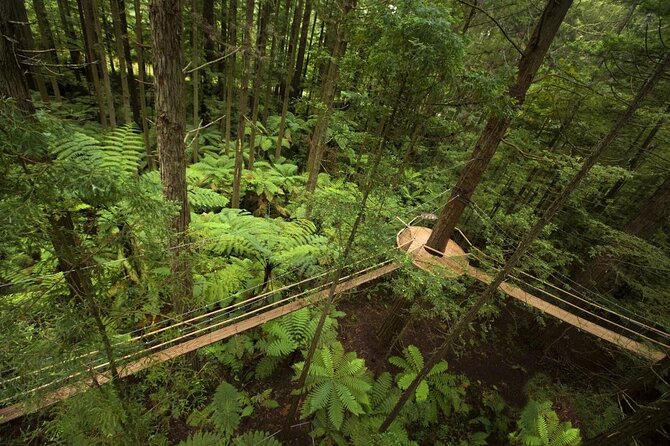 Private Day Trip To Te Puia Rotorua - Reviews and Ratings