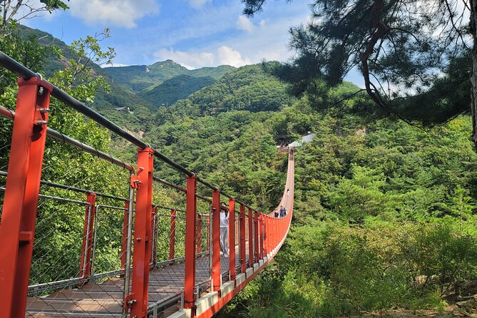Private DMZ Tour and Suspension Bridge + Korean BBQ - Dietary Accommodations
