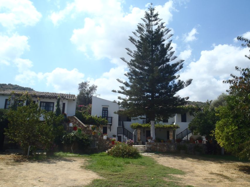 Private Exclusive Manousakis Winery and Vineyard Tour - Important Information to Know