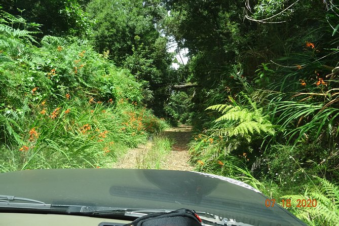 Private Full Day Off-Road Tour in Madeira - Recommended Travelers