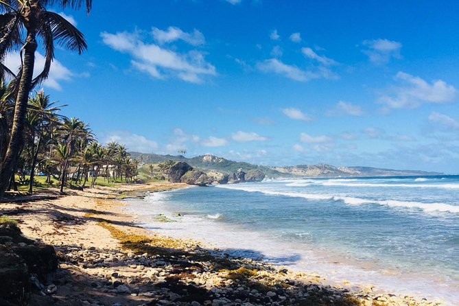 Private Half-Day Barbados Excursion With Entrance Fee Discounts - Booking Process and Information