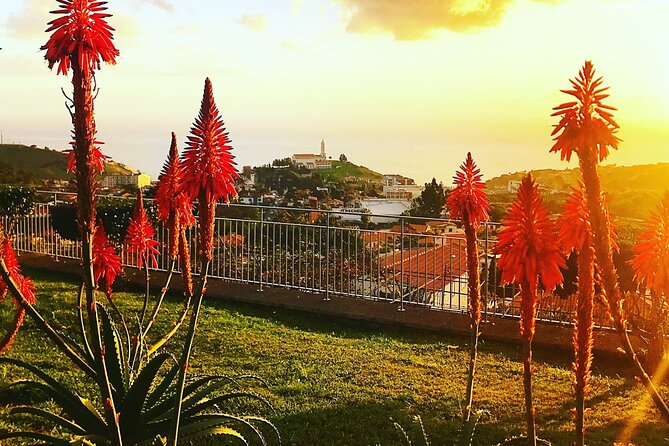 Private Half Day Madeira Tour (Mercedes Viano/Vito) - Cancellation Policy