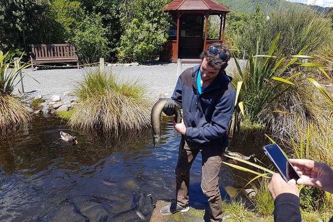 Private Kapiti Coast Full Day Tour - How to Book