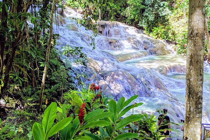 Private Ocho Rios Highlight Tour - Booking Information