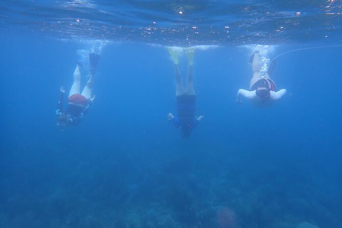 Private Rincon Snorkeling Adventure - Customer Reviews and Feedback