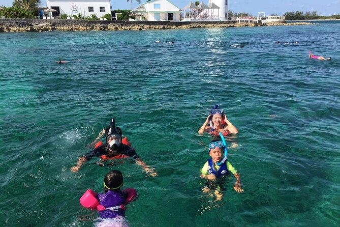 Private Rose Island Half Day Charter With Swimming Pigs - What to Expect on the Trip