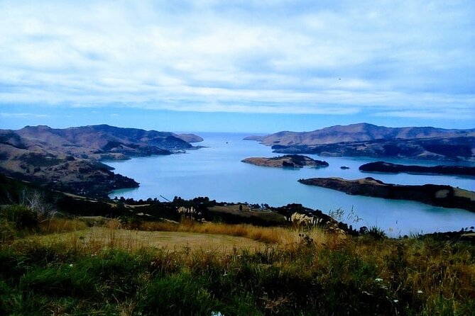 Private Scenic Christchurch/ Lyttelton /Port Hills Day Excursion - Traveler Experiences