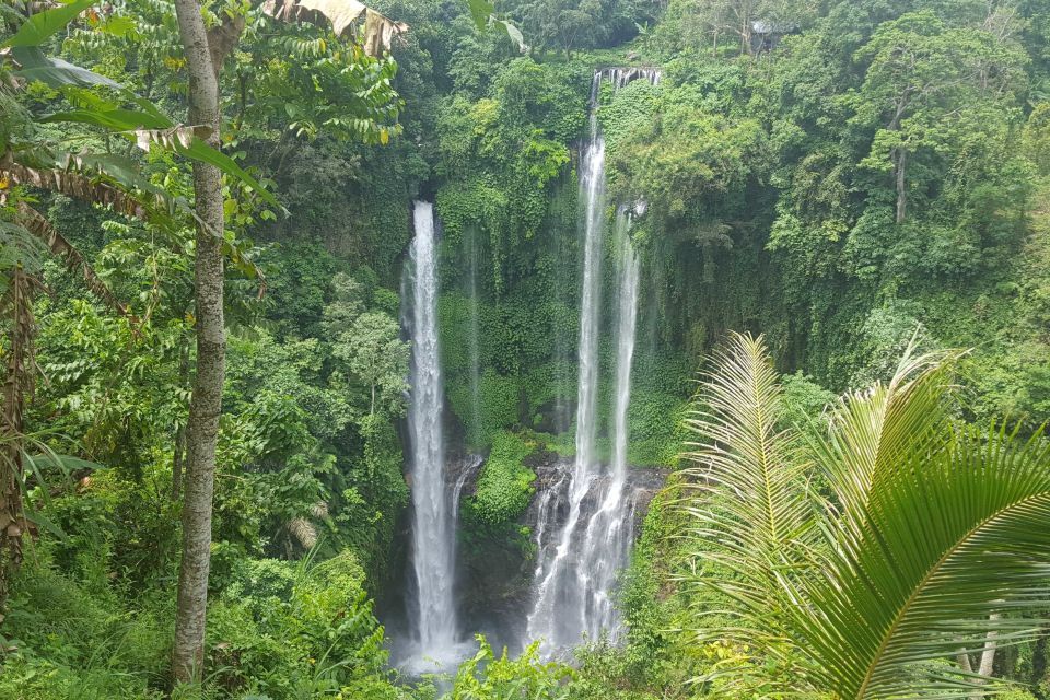 Private Sekumpul Waterfall Hiking Tour - Pickup and Transportation