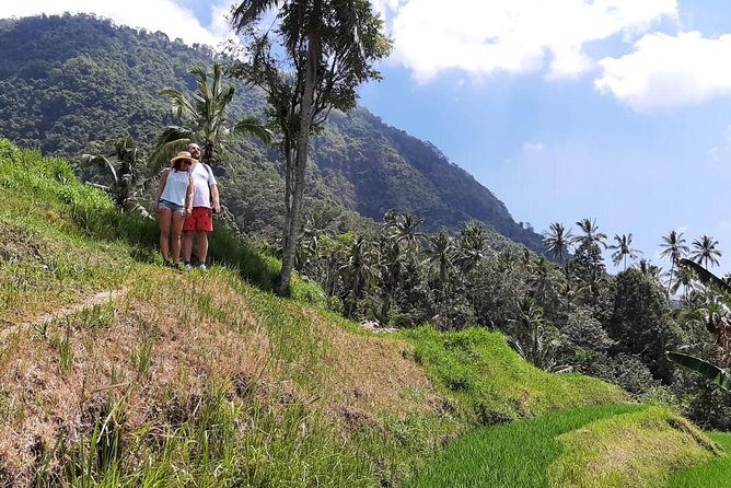 Private Sekumpul Waterfalls Trekking Tour - What to Expect