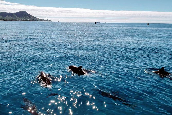 Private Snorkeling and Wildlife on The Adventure Boat - Accessibility Considerations