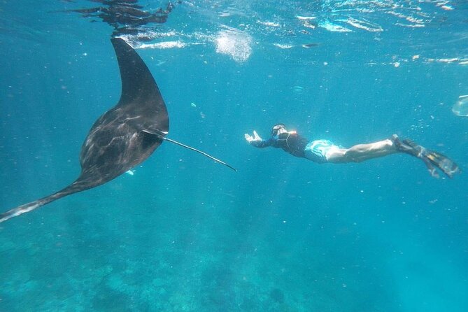 Private Snorkeling in Manta, Gamat & Crystal Bay at Nusa Penida - Boat and Snorkeling Gear