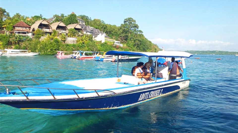 Private Snorkeling in Nusa Penida - Wildlife Sightings