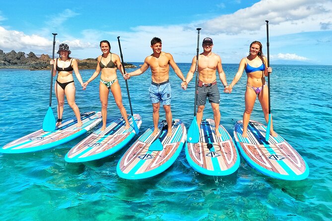 Private Stand Up Paddle Boarding Tour in Turtle Town, Maui - Local Wildlife and Scenery