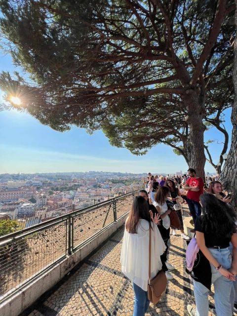 Private Tour All Lisbon Highlights 3h - Landmarks and Monuments